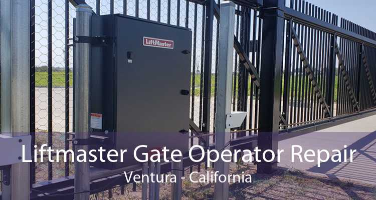 Liftmaster Gate Operator Repair Ventura - California